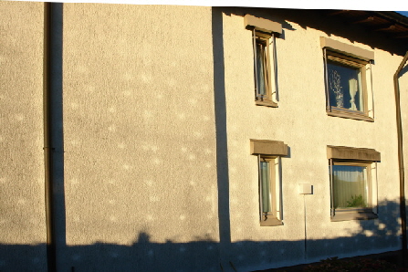Bleich_Fassade_Schimmel