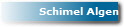 Schimel Algen