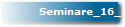 Seminare_16_17