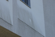 Algenbildung