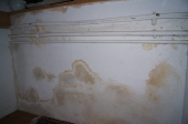 DSC00507