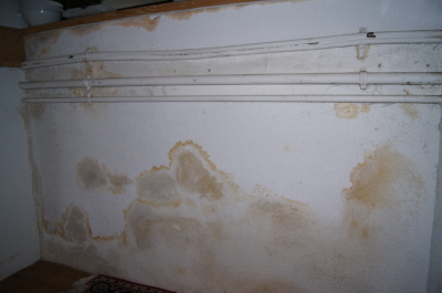DSC00507