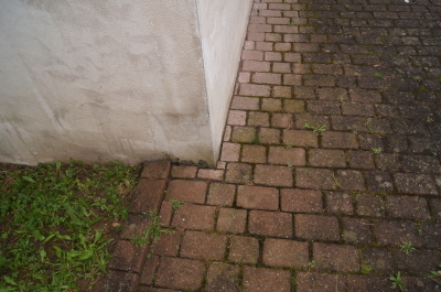 DSC05427