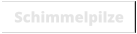 Schimmelpilze