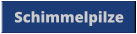 Schimmelpilze